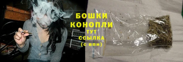 прущие грибы Балахна