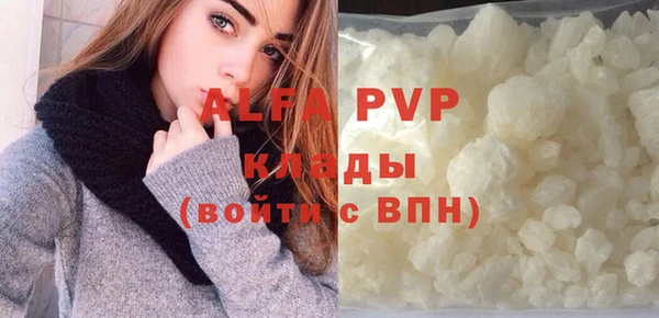 прущие грибы Балахна