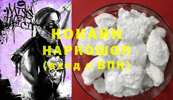прущие грибы Балахна