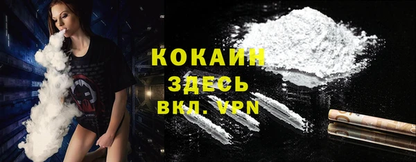 прущие грибы Балахна